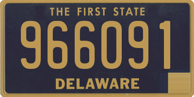 DE license plate 966091