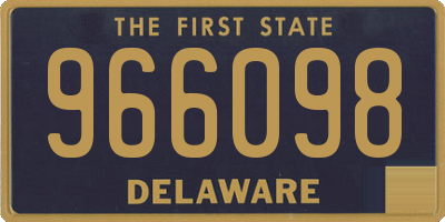 DE license plate 966098