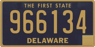 DE license plate 966134