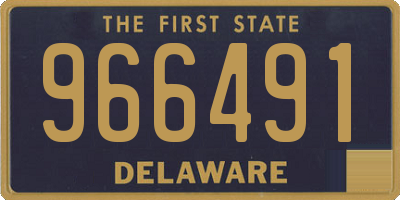 DE license plate 966491