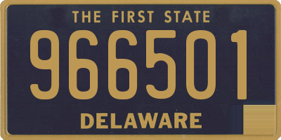 DE license plate 966501