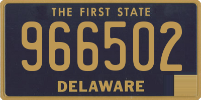 DE license plate 966502