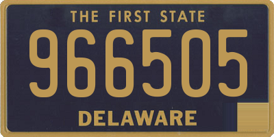 DE license plate 966505