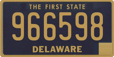 DE license plate 966598