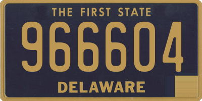 DE license plate 966604