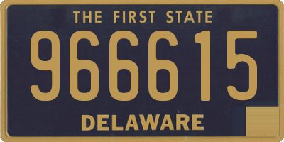 DE license plate 966615