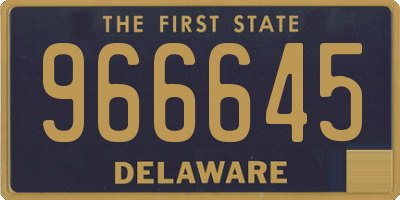 DE license plate 966645