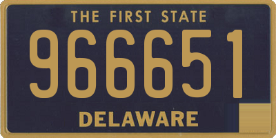 DE license plate 966651