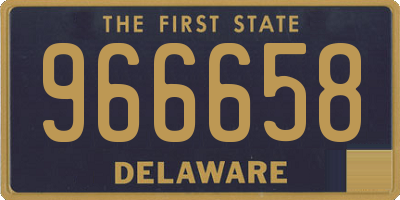 DE license plate 966658