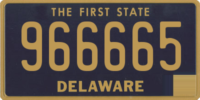 DE license plate 966665