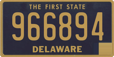 DE license plate 966894