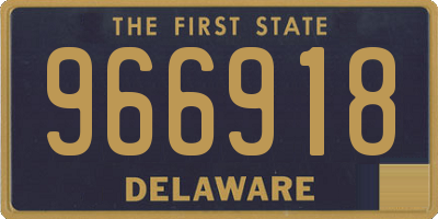 DE license plate 966918