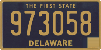 DE license plate 973058