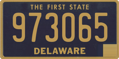DE license plate 973065