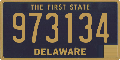 DE license plate 973134