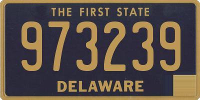 DE license plate 973239