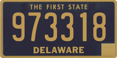 DE license plate 973318