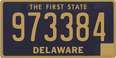 DE license plate 973384