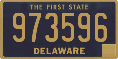 DE license plate 973596