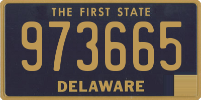 DE license plate 973665