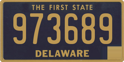 DE license plate 973689