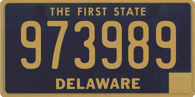 DE license plate 973989