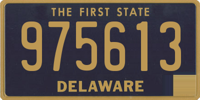 DE license plate 975613