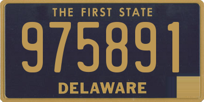 DE license plate 975891