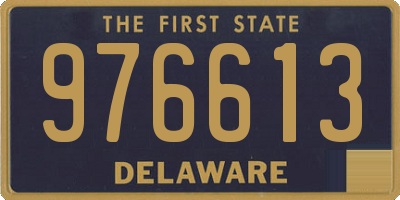 DE license plate 976613