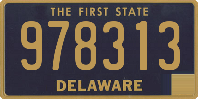 DE license plate 978313