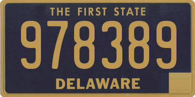 DE license plate 978389