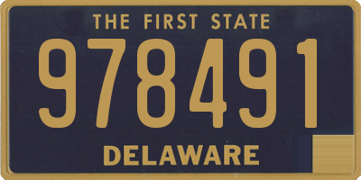 DE license plate 978491