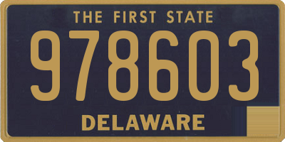 DE license plate 978603