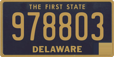 DE license plate 978803