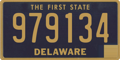 DE license plate 979134