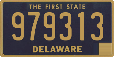 DE license plate 979313