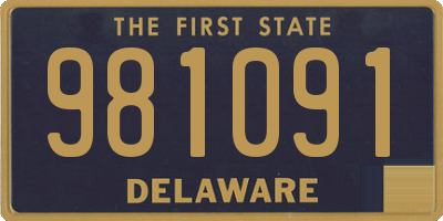 DE license plate 981091