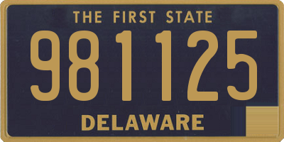 DE license plate 981125