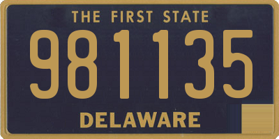 DE license plate 981135