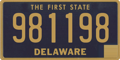 DE license plate 981198