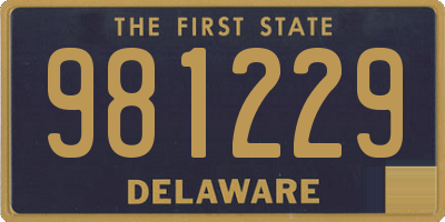 DE license plate 981229