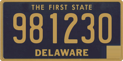 DE license plate 981230