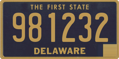 DE license plate 981232