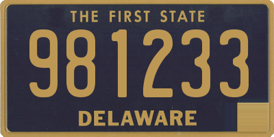 DE license plate 981233