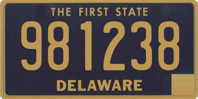 DE license plate 981238