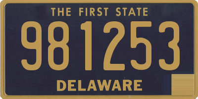 DE license plate 981253