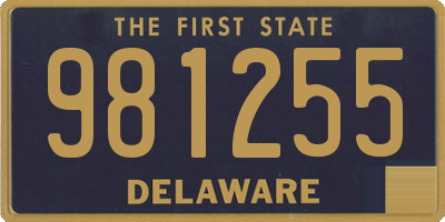 DE license plate 981255