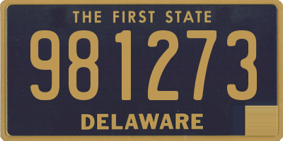 DE license plate 981273