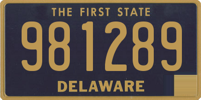 DE license plate 981289