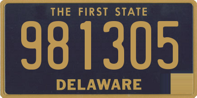 DE license plate 981305